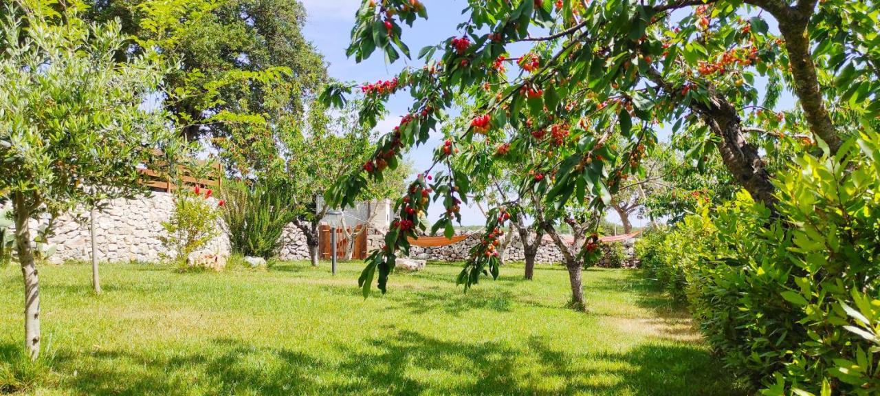 Red Rose B&B Martina Franca Luaran gambar