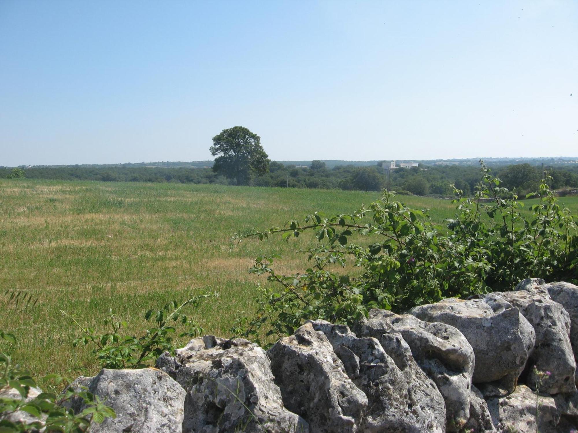 Red Rose B&B Martina Franca Luaran gambar