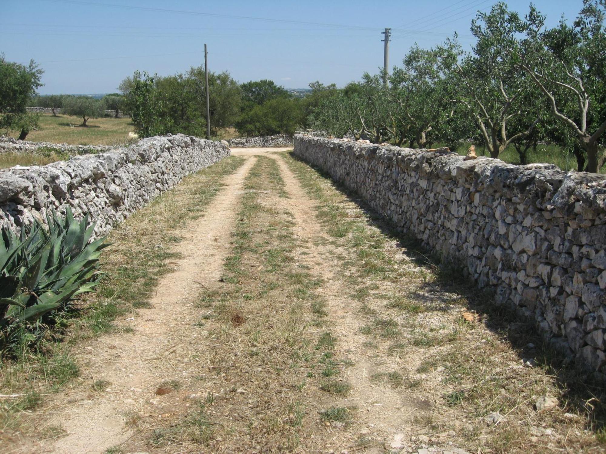 Red Rose B&B Martina Franca Luaran gambar