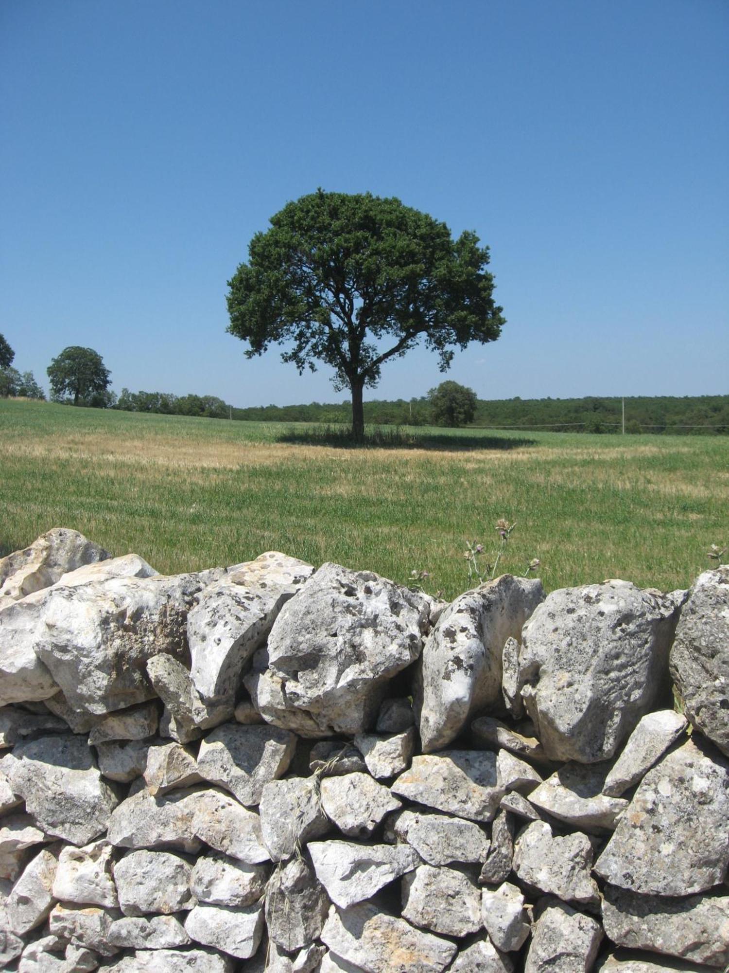 Red Rose B&B Martina Franca Luaran gambar